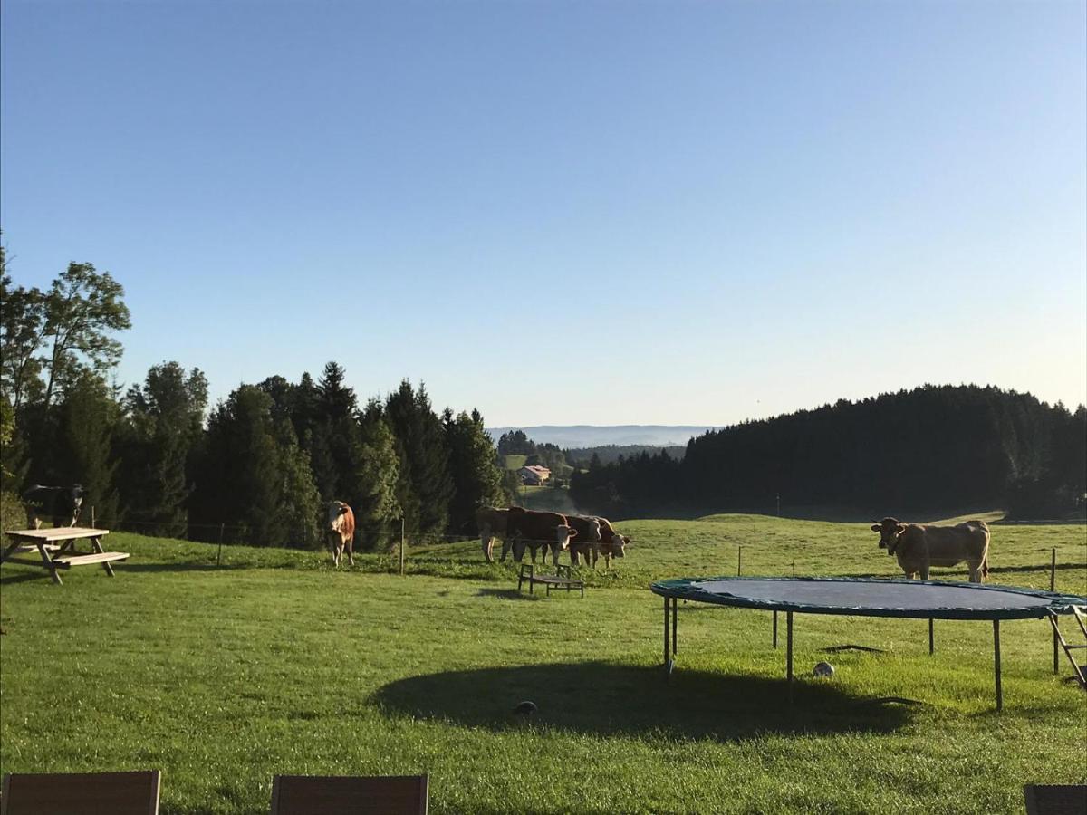 Gmeinder'S Landhaus Immenstadt im Allgau Bagian luar foto